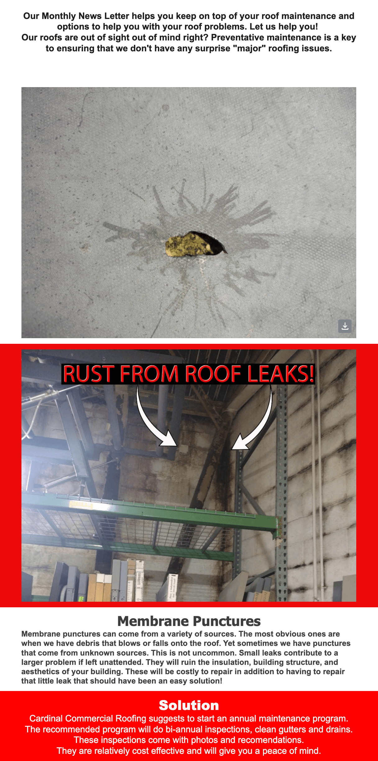A damaged roof tile and rust-stained ceiling are shown, highlighting roof leaks and membrane punctures, with text advice about regular roof maintenance and inspections.